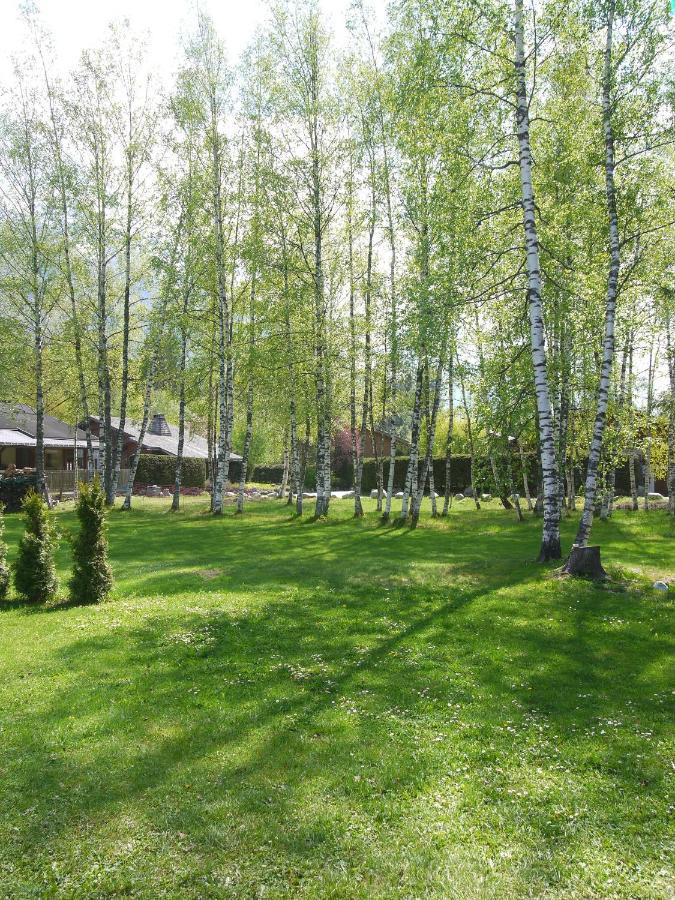 Chalet Champraz - Free Parking Σαμονί Εξωτερικό φωτογραφία