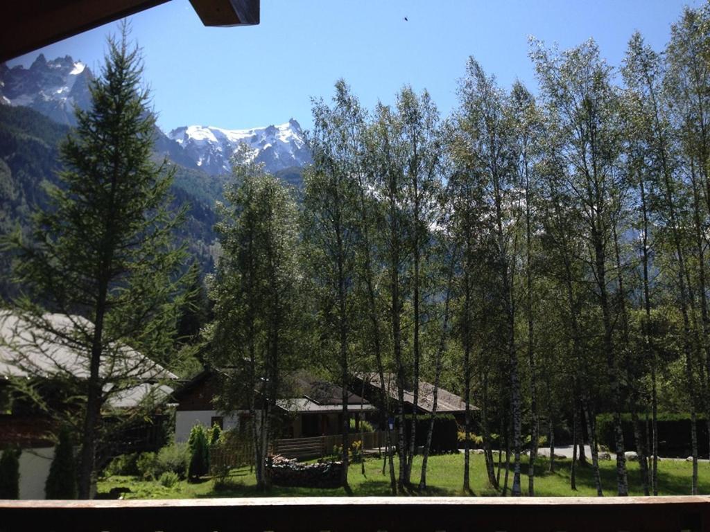 Chalet Champraz - Free Parking Σαμονί Εξωτερικό φωτογραφία